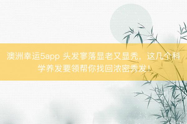 澳洲幸运5app 头发寥落显老又显秃，这几个科学养发要领帮你找回浓密秀发！